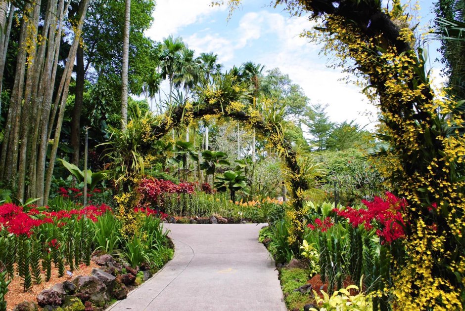 Ботанический сад «Orto Botanico»