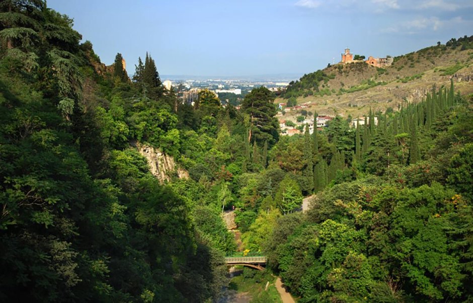 Ботанический сад сад Тбилиси