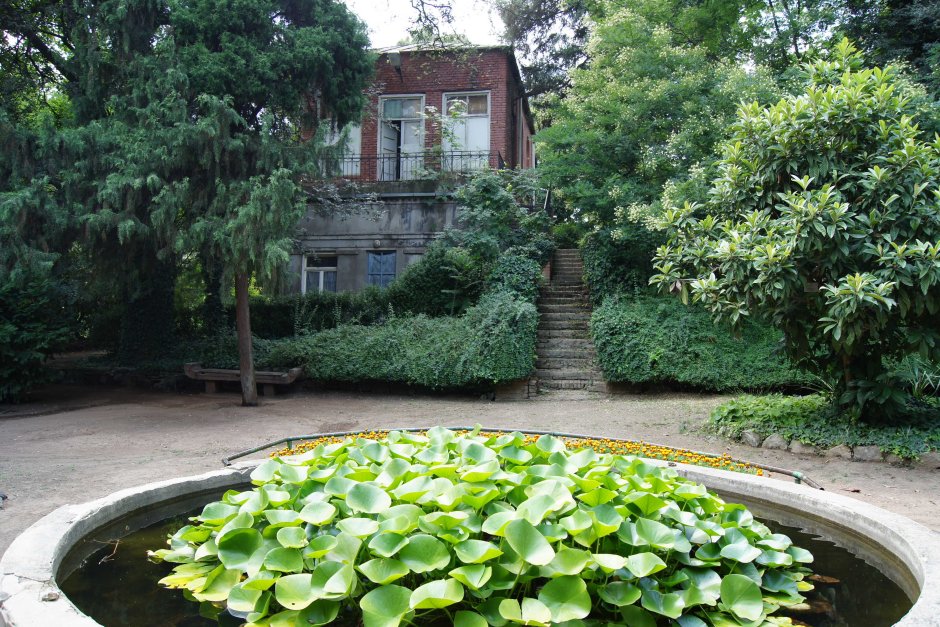 Ботанический парк Тбилиси