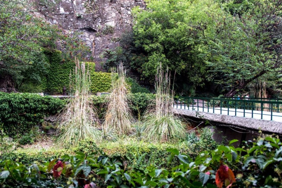 Ботанический сад сад Тбилиси