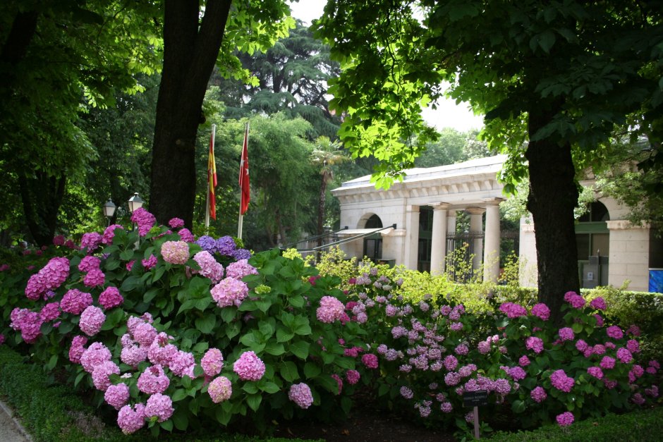 Ботанический сад Мадрид