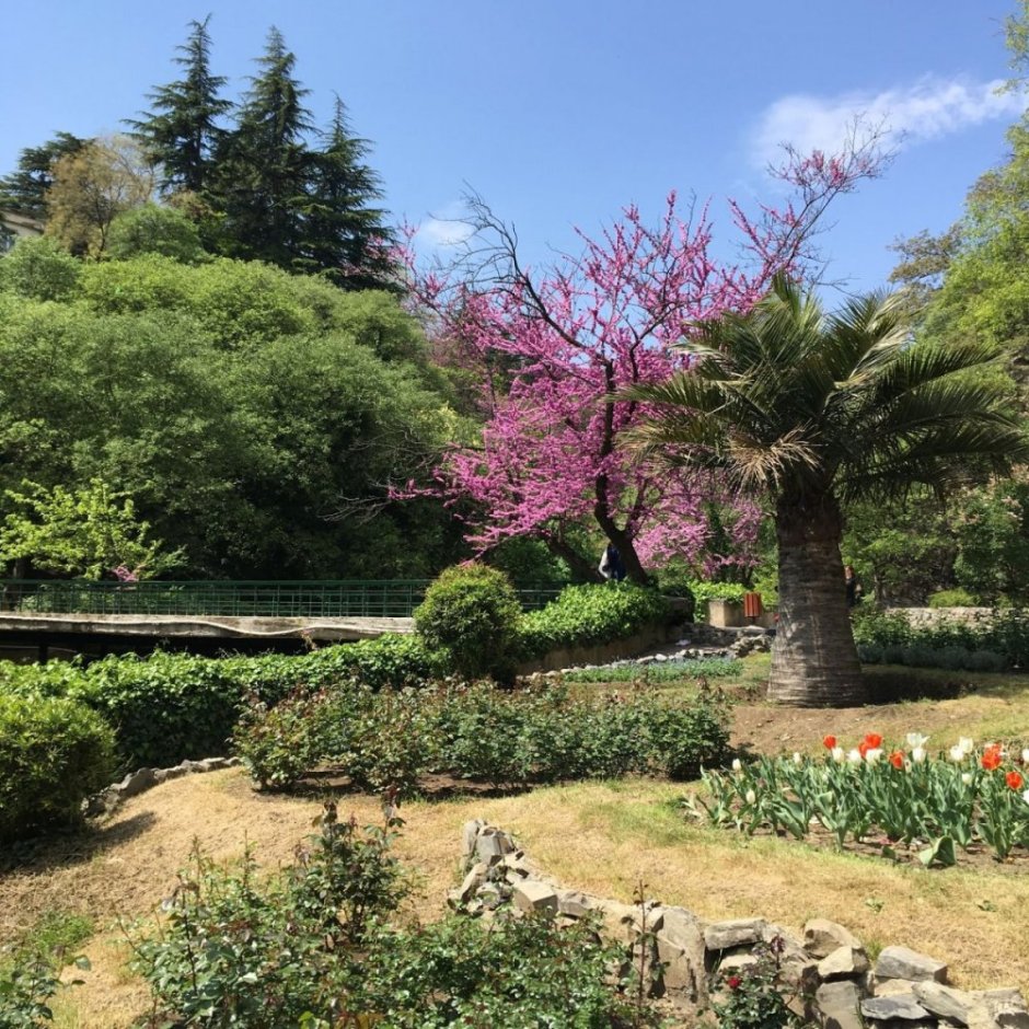 Ботанический сад Токио