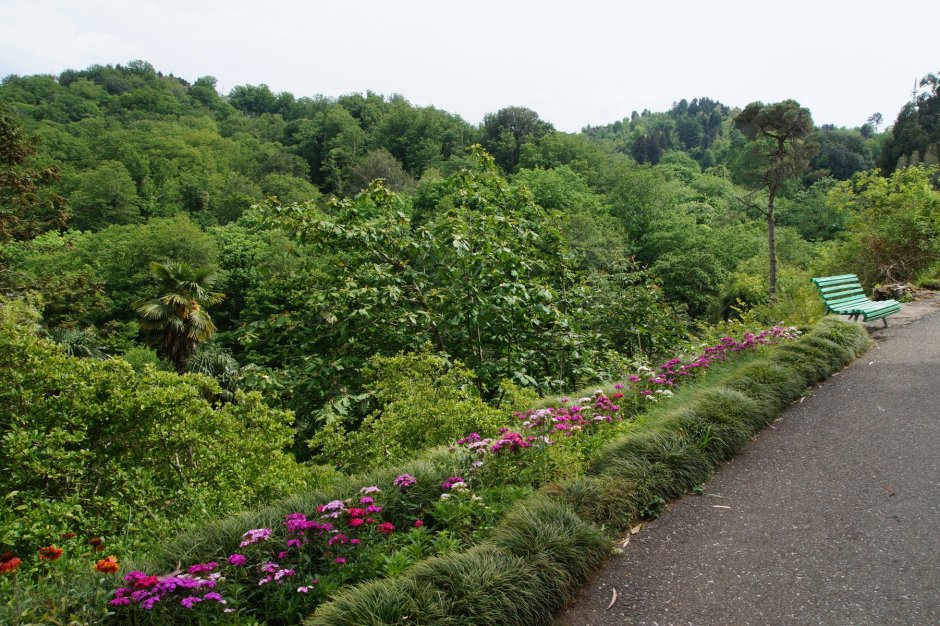 Тбилисский Ботанический сад
