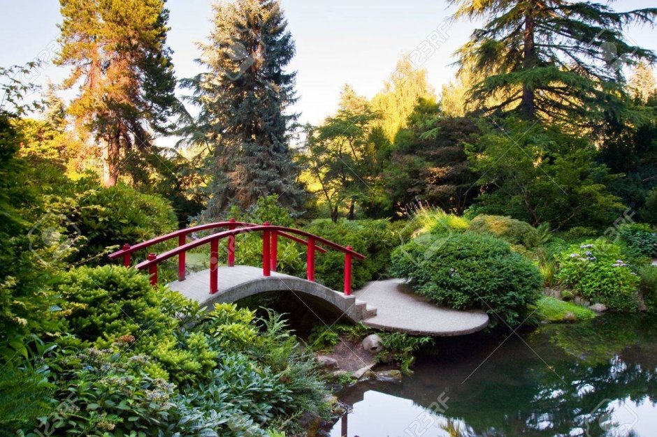 Ботанический сад Тбилиси японский сад