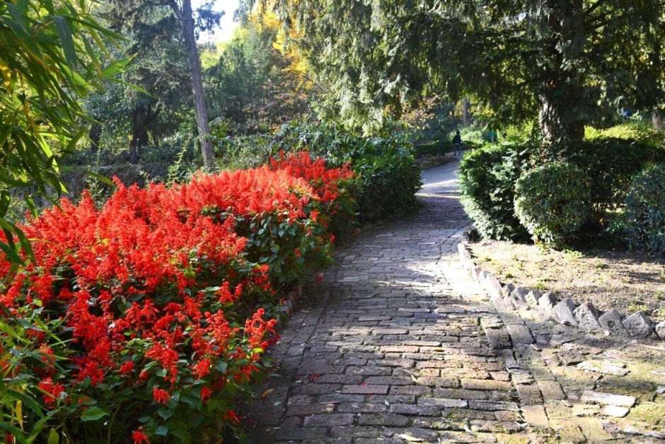 • Ботанический сад Tbilisi