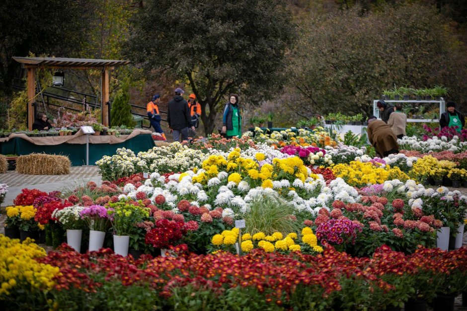 Тбилисский Ботанический сад