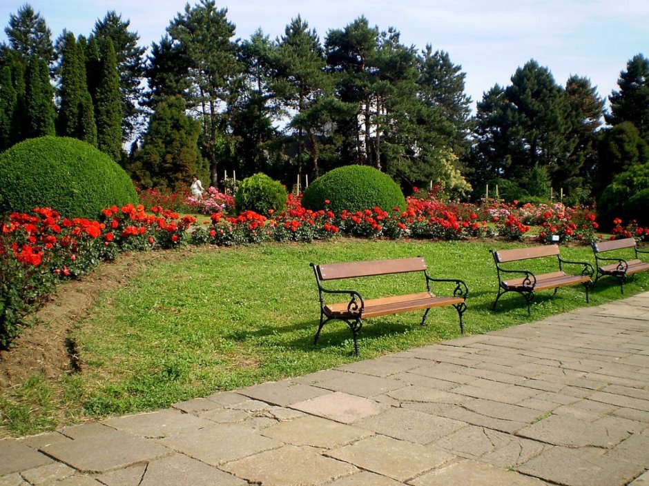 Кишиневский Ботанический сад Молдавия