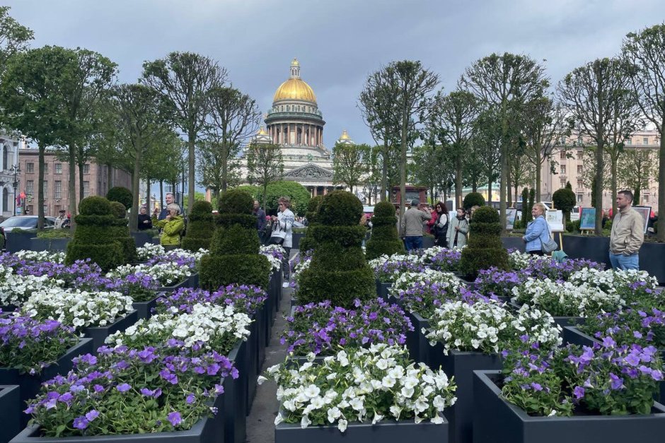 Цветы у Исаакиевского собора в Санкт-Петербурге 2023