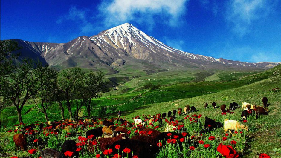 Нагорный Карабах природа маки