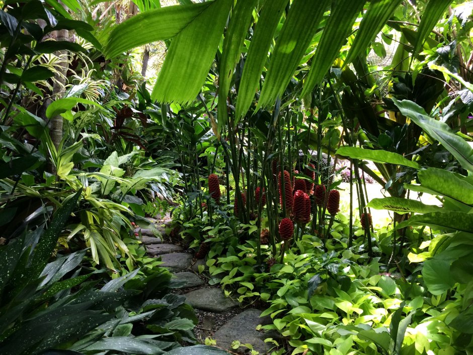 Бали Озеленение