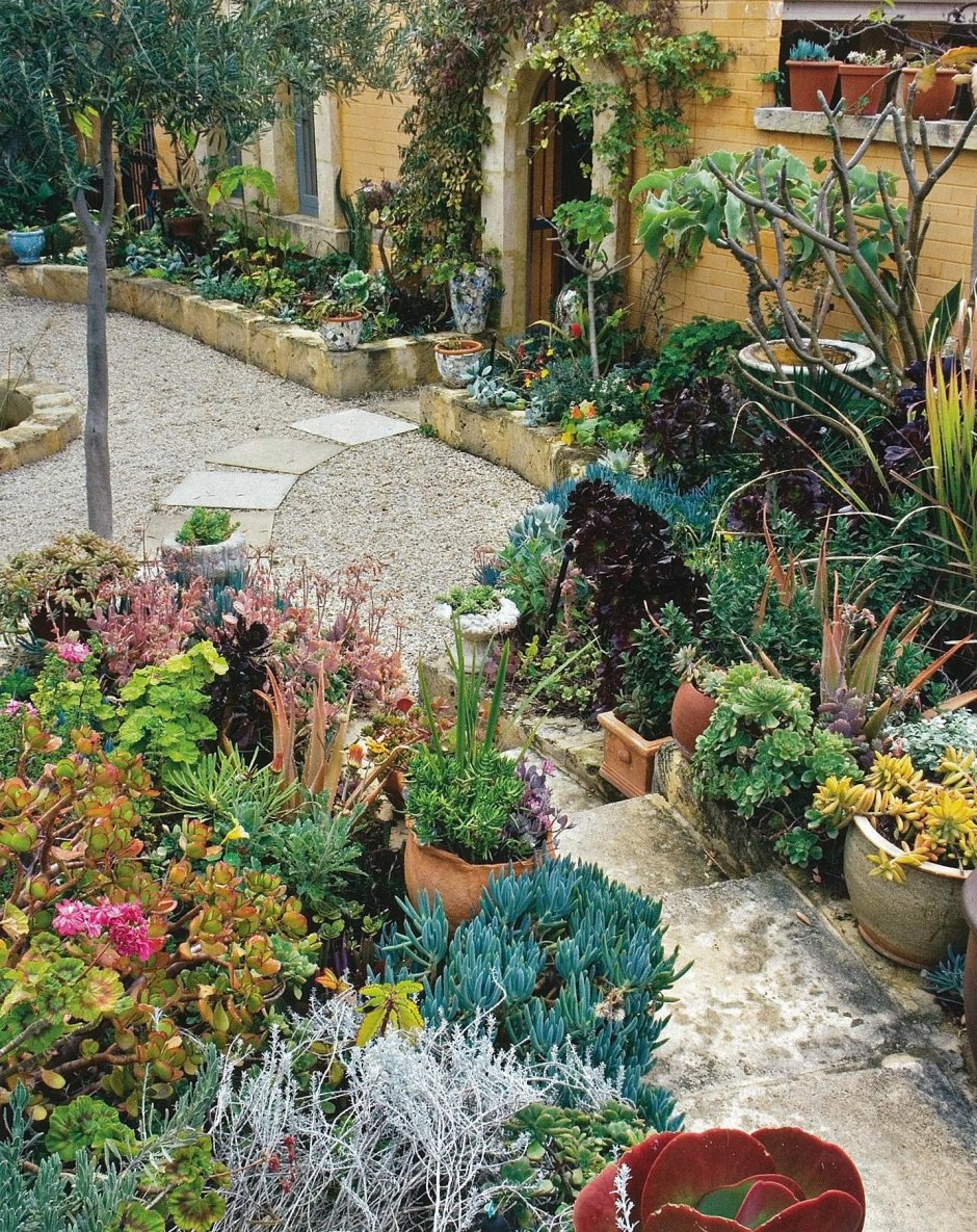 Испанский сад в ландшафтном дизайне