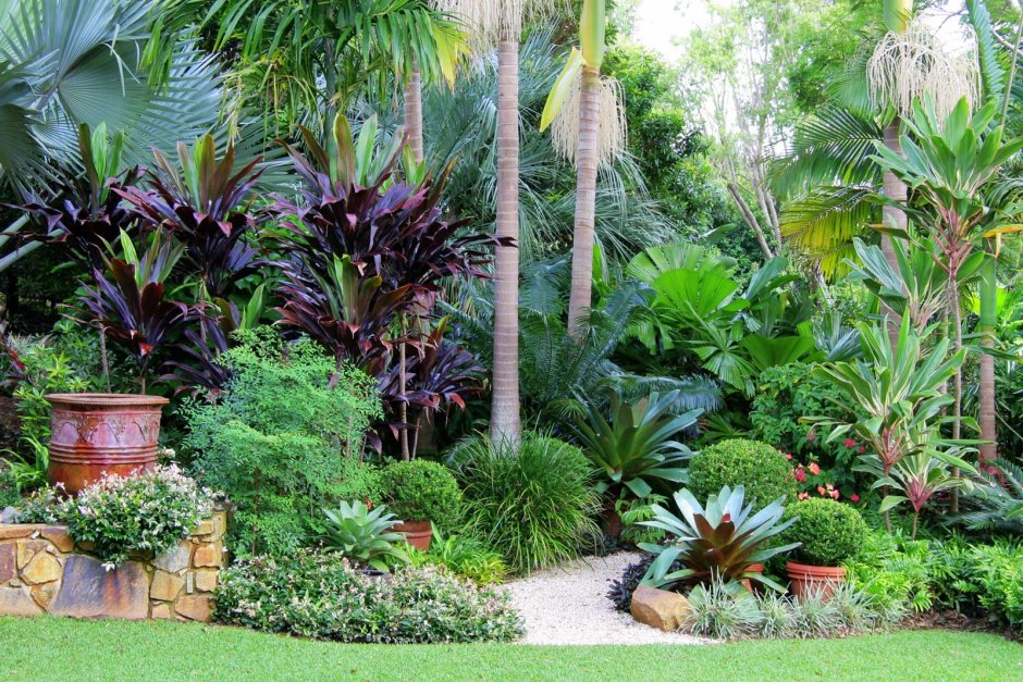 Сад в тропическом стиле