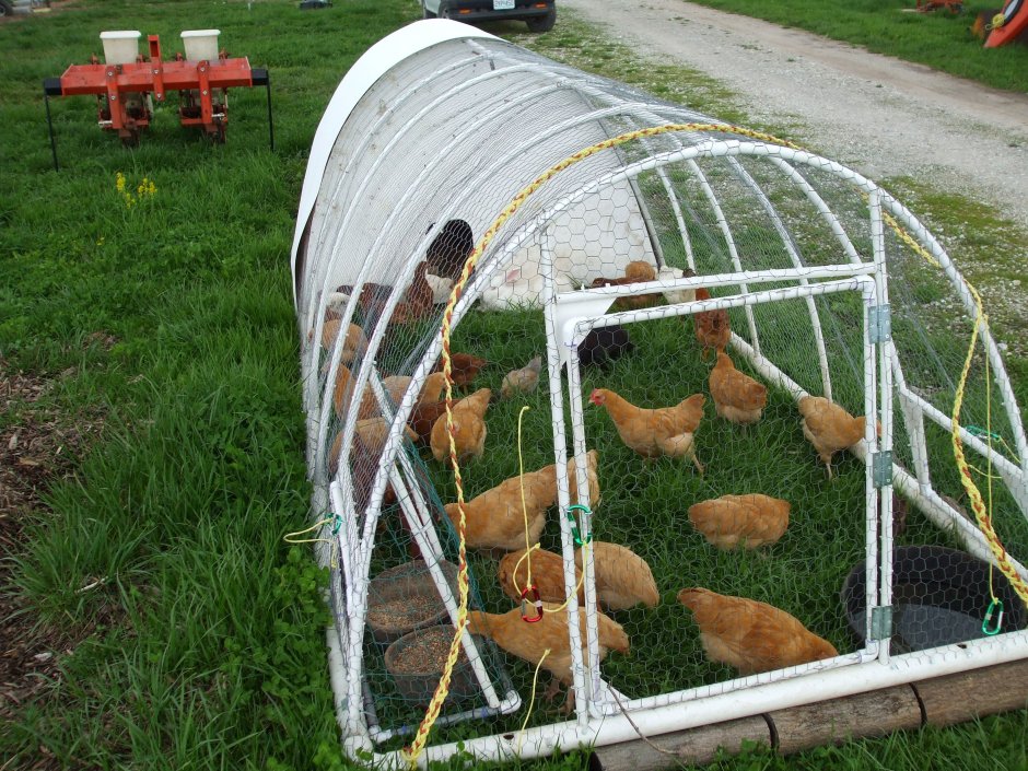 Переносной загон для цыплят