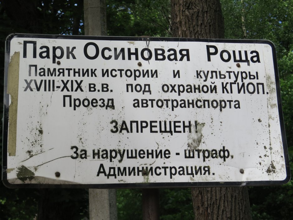 Парк Осиновая роща Санкт-Петербург