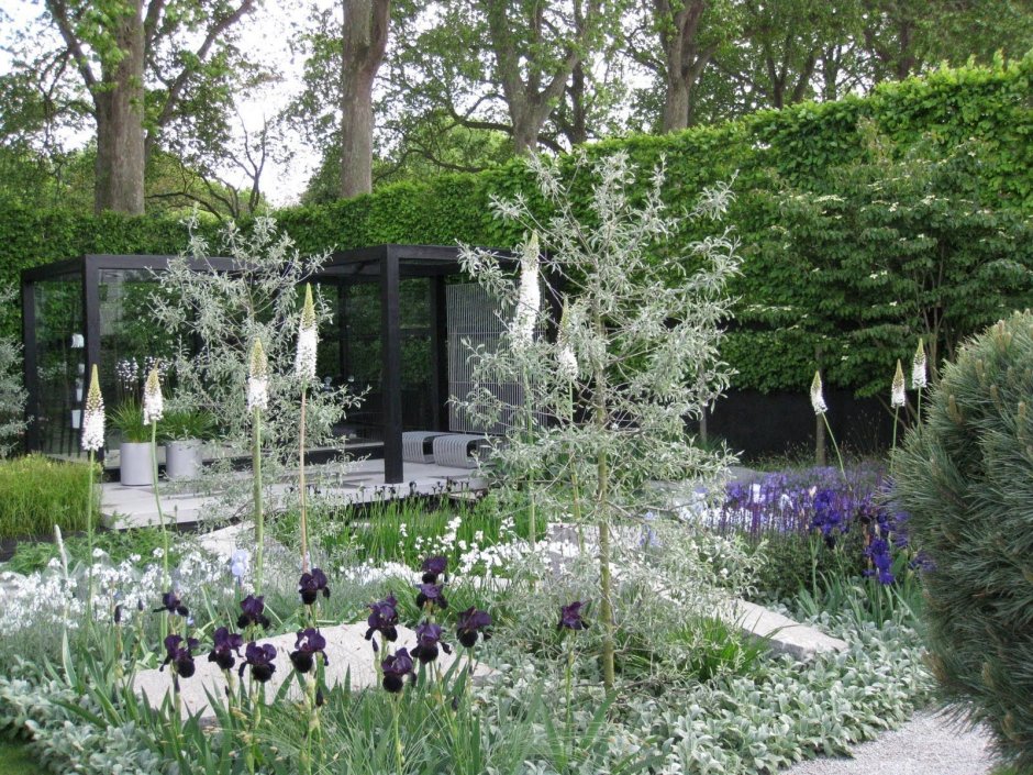 Скандинавский сад в ландшафтном дизайне