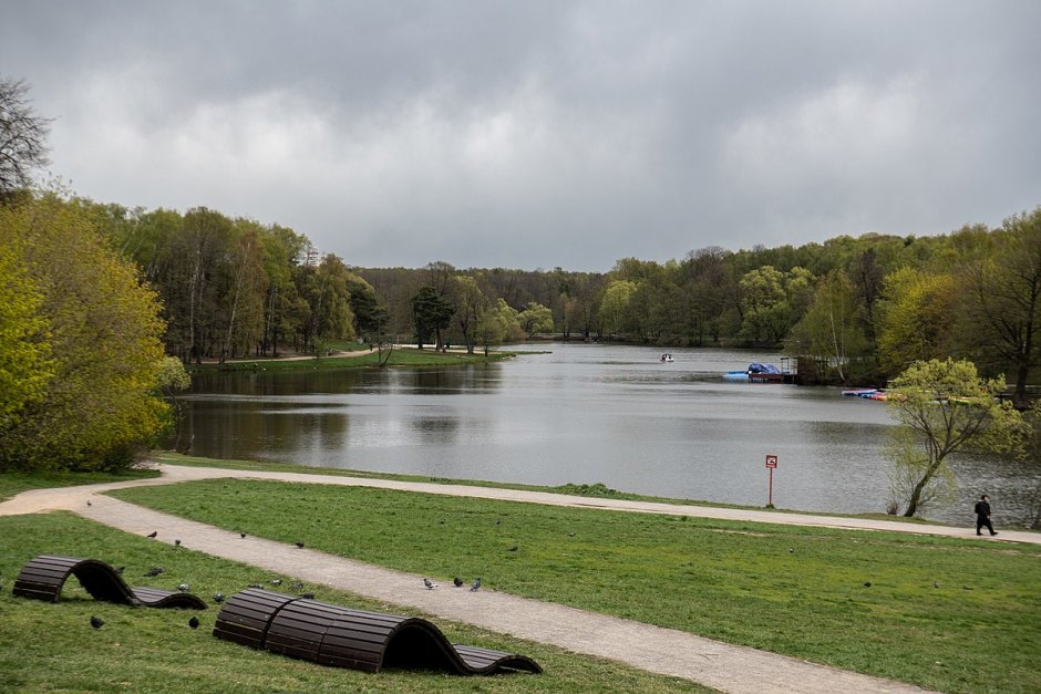 Шибаевский пруд в парке Кузьминки