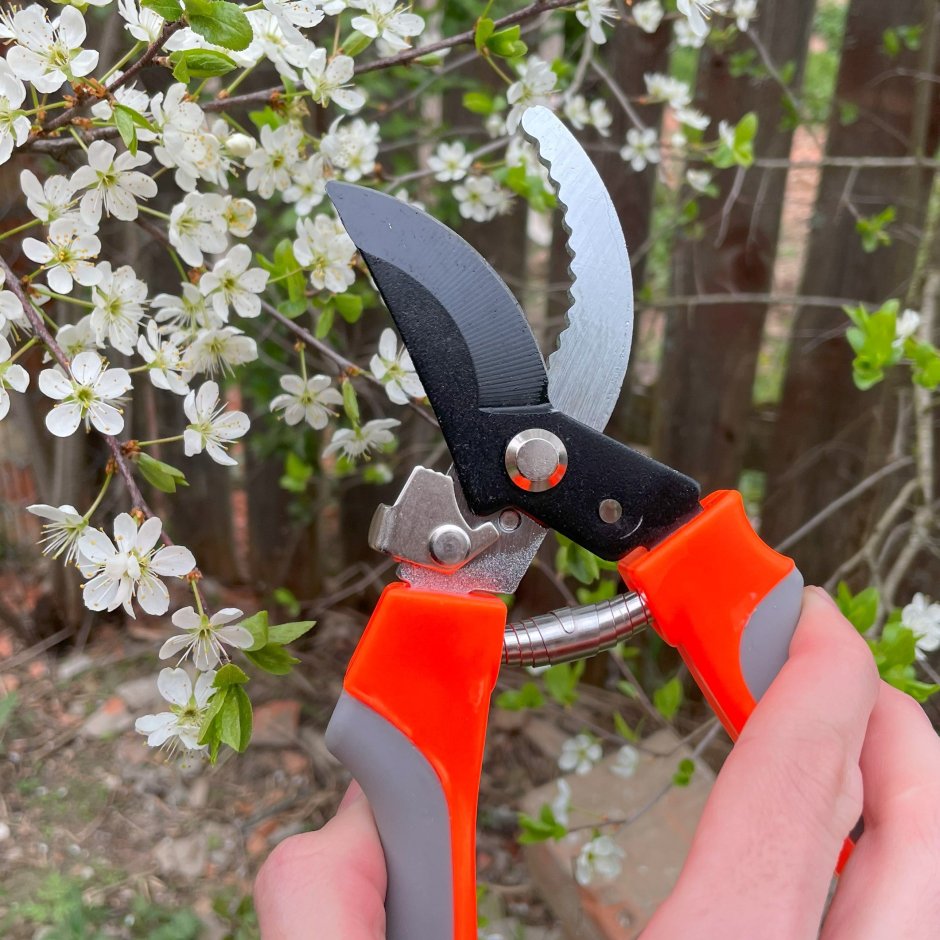Секатор pruning Shears