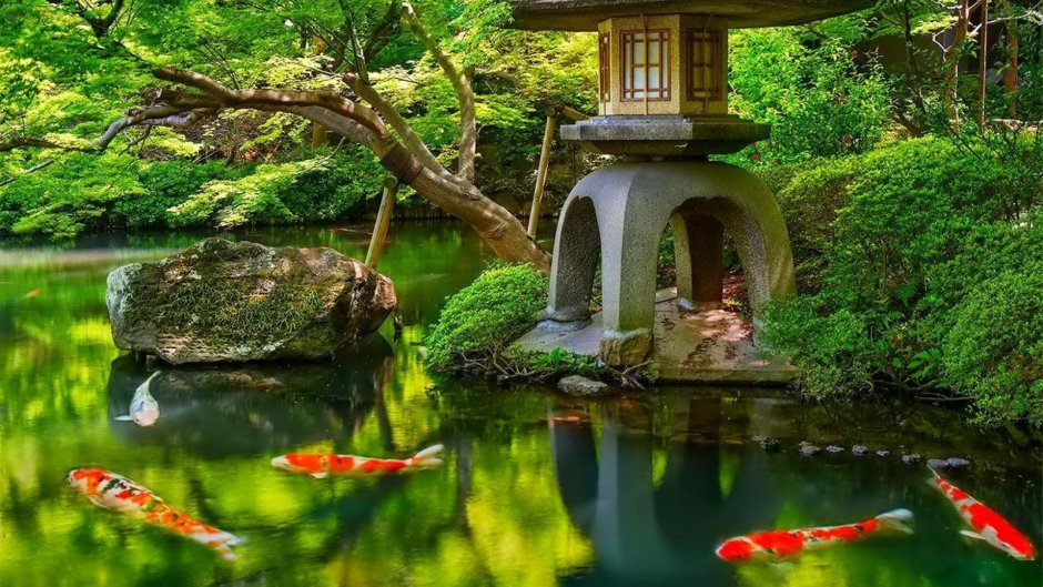 Японский сад Энси