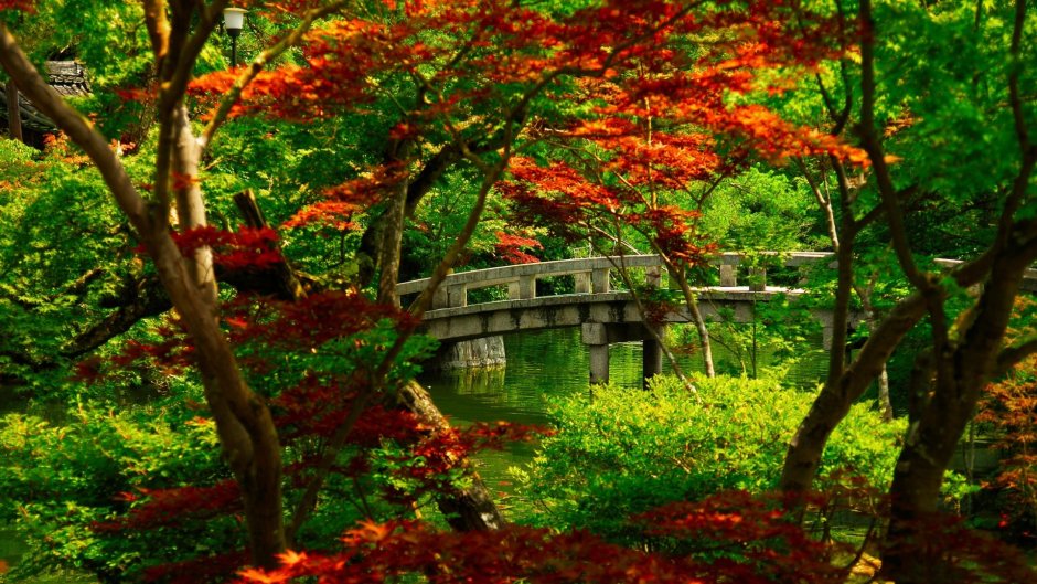 Киото Япония осень