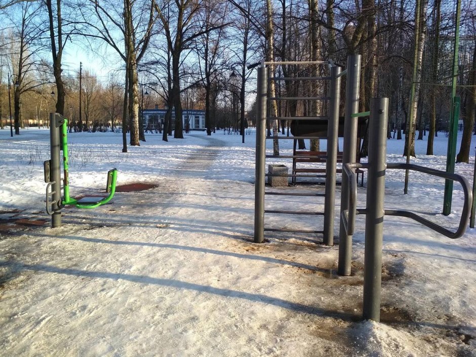 Сад Василеостровец зимой