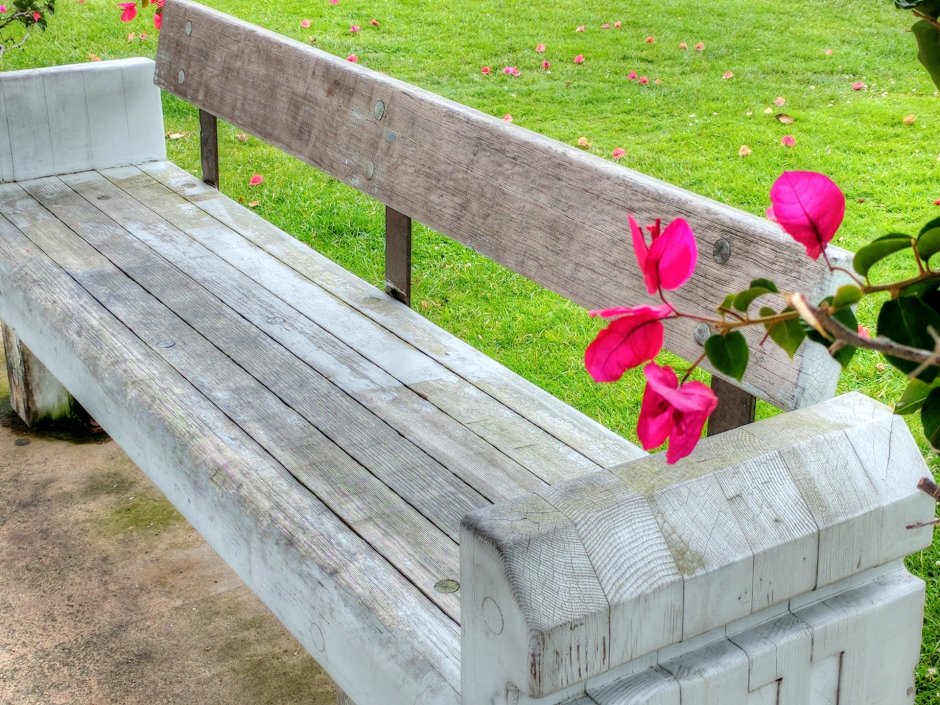 Скамейка с цветами