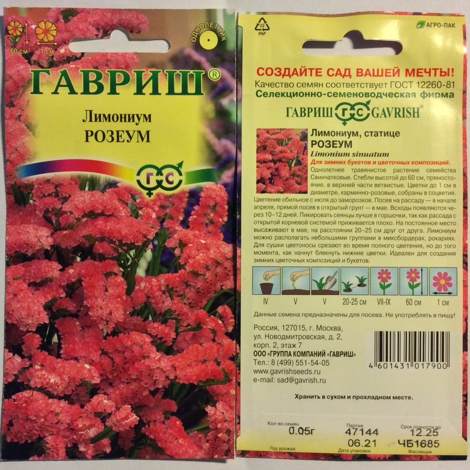 Лимониум Суворова розовый Гаври