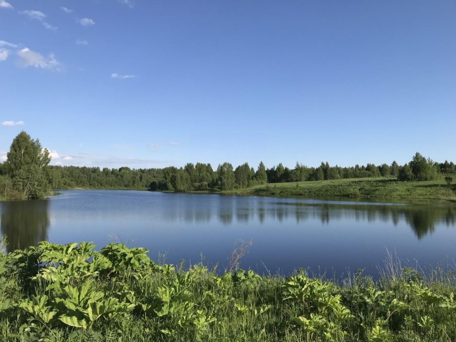 Озеро Ефимьевское Богородский район