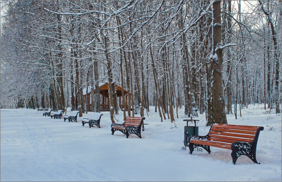 Тула зимой парк