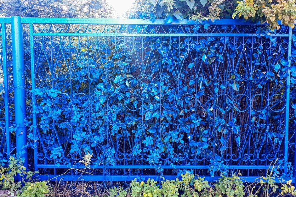 Синий забор