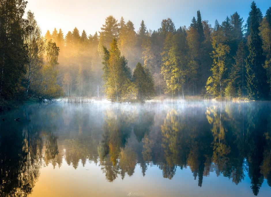 Лесное озеро в Финляндии