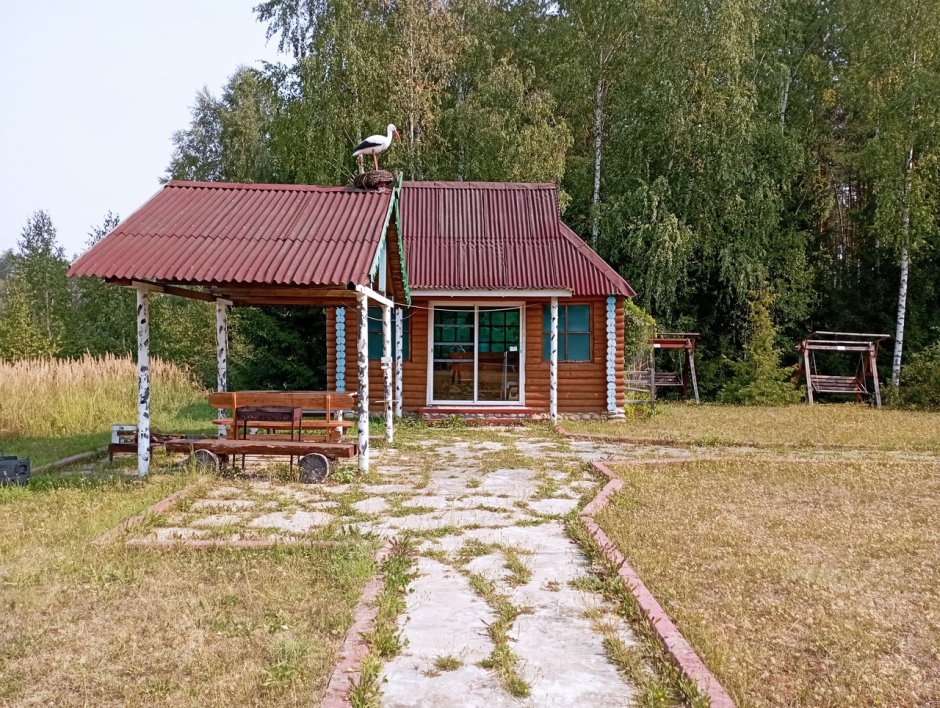 Лес Владимирской области