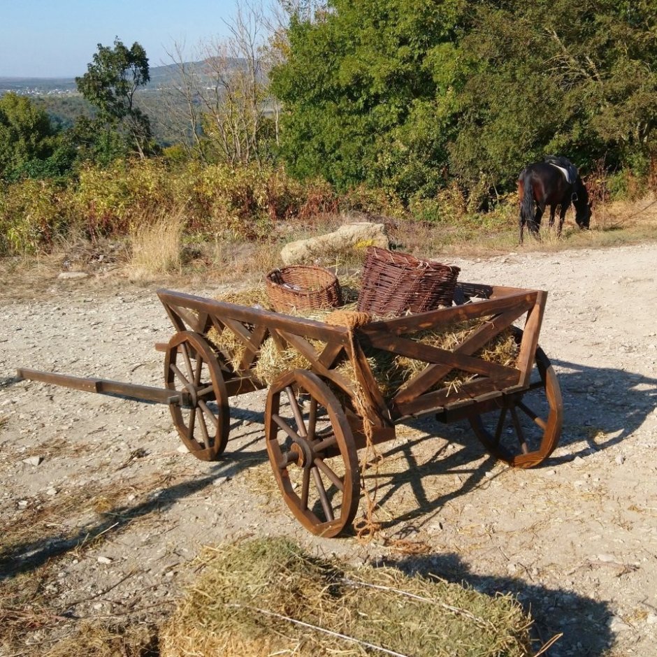 Ancient Cart