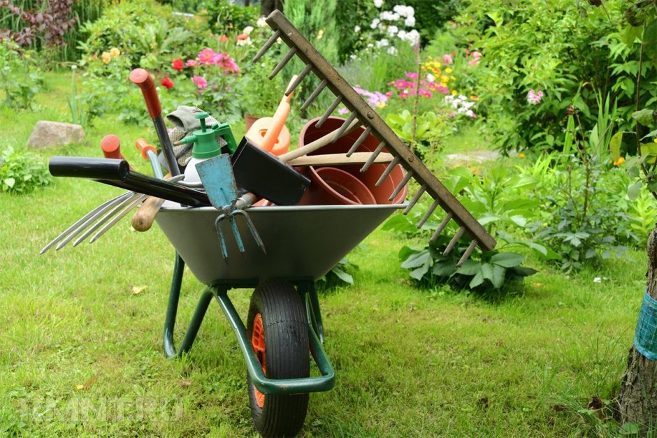 Инструменты для сада и огорода