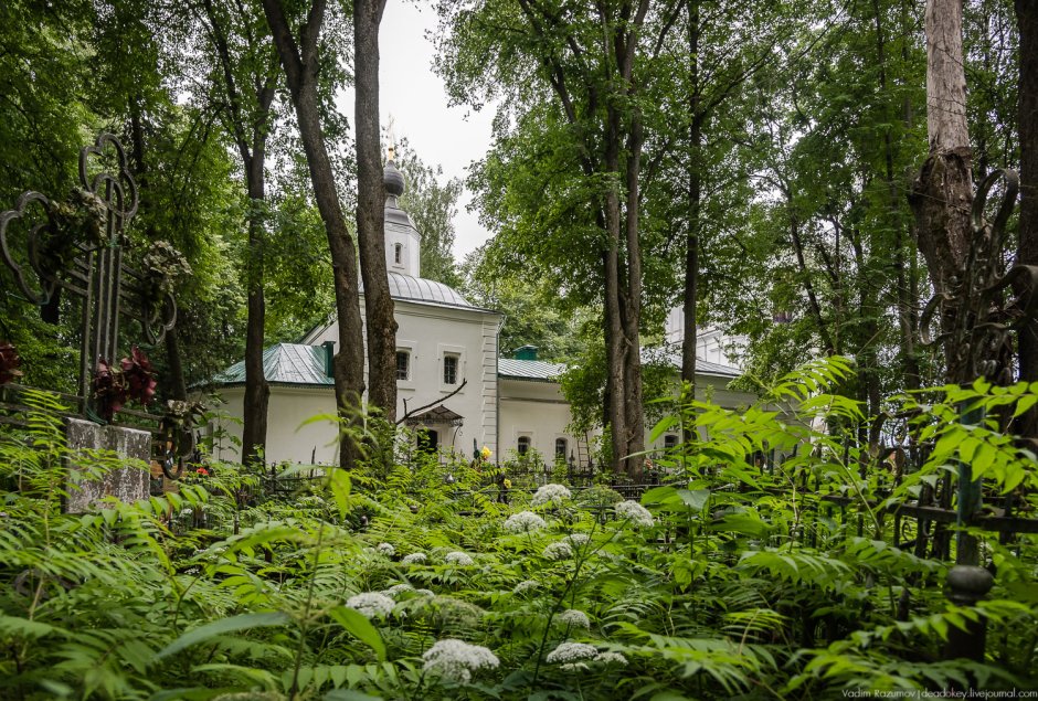 Сестрорецкий парк в Клину Демьянова Церковь