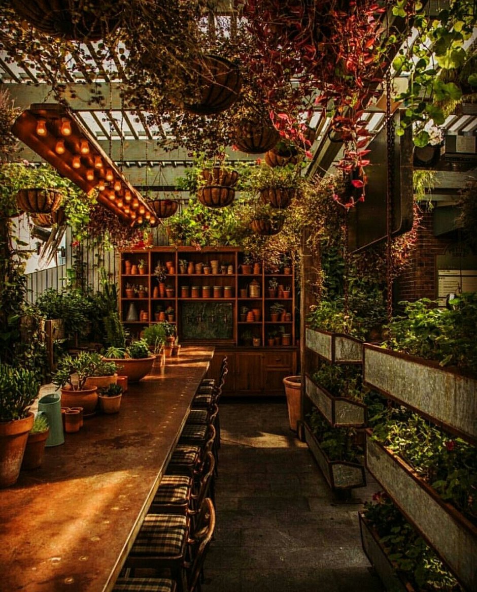 Сад оранжерея кафе ресторан