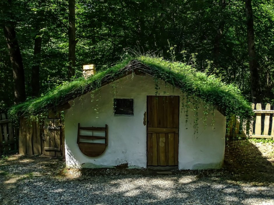 Дом с крышей из травы