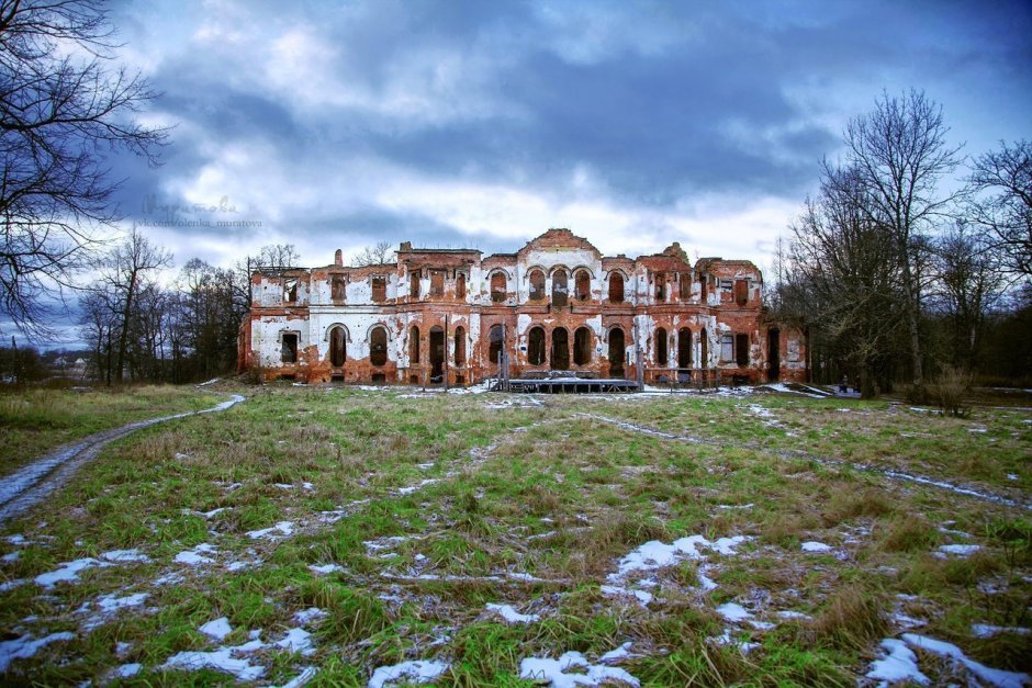 Разрушенный дворец усадьбы Гребнево