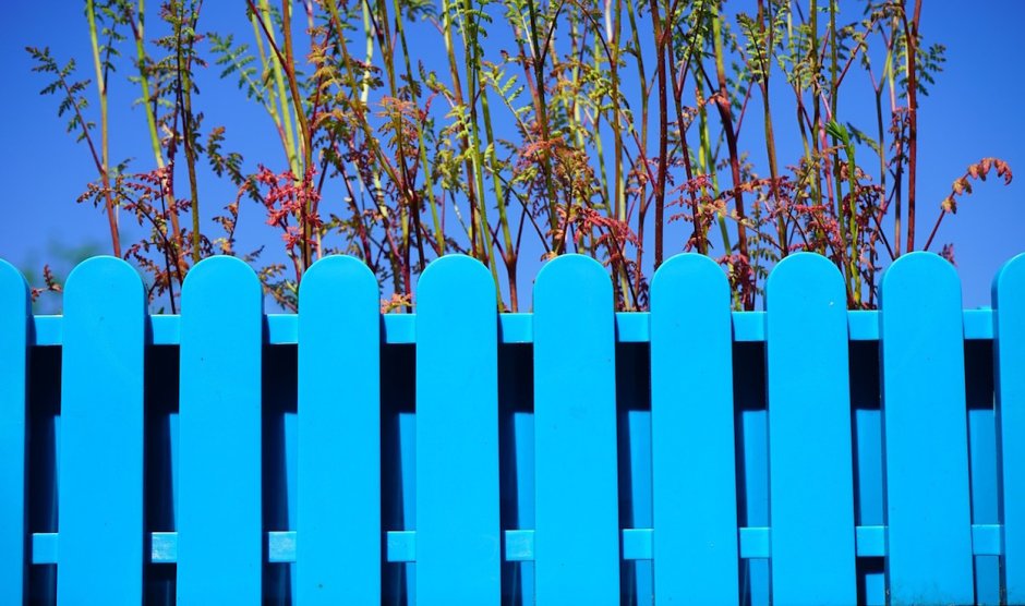 Синий деревянный забор