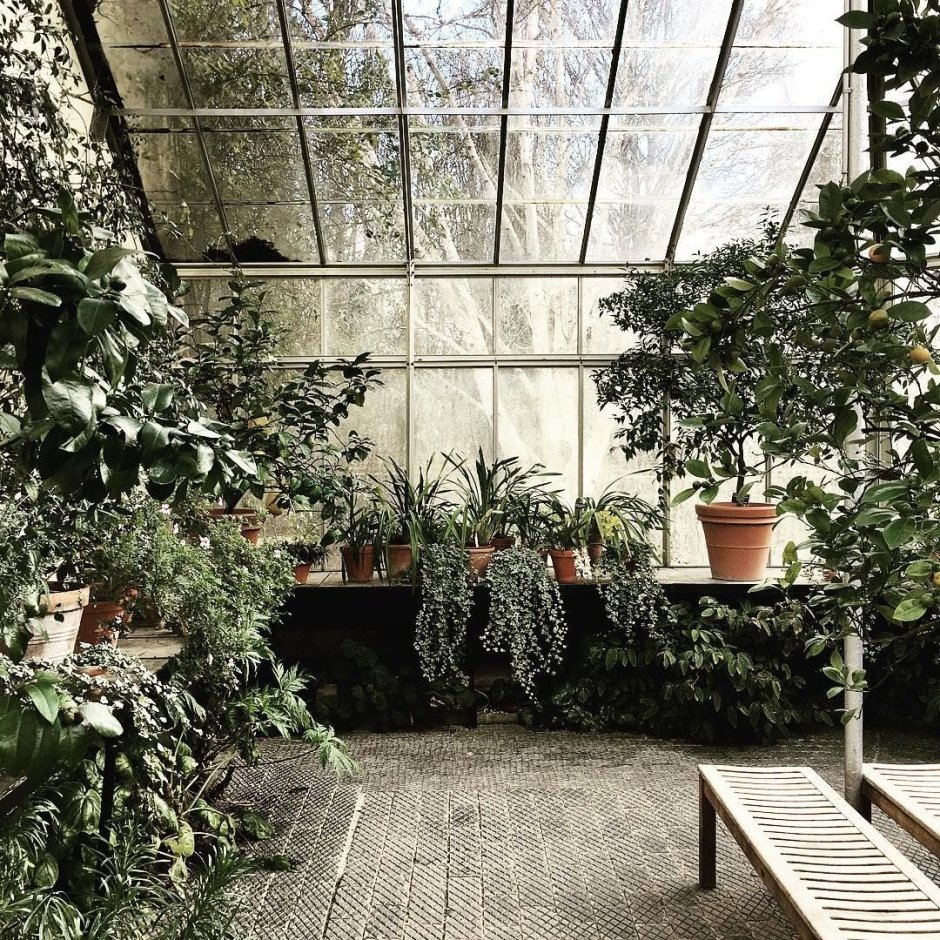 «Зимний сад» оранжерея Пэктон