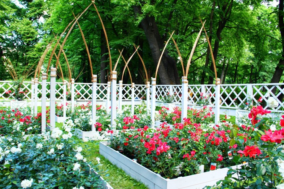 Современный сад Россия
