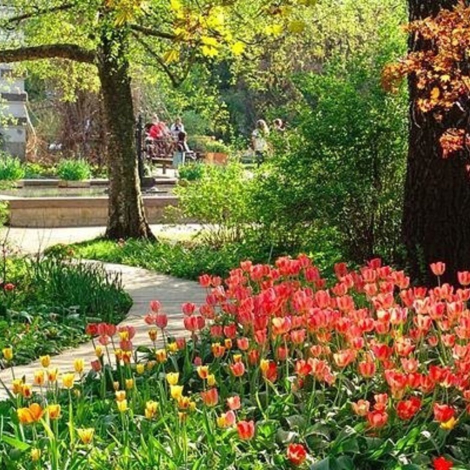 Ботанический сад МГУ Аптекарский огород весной