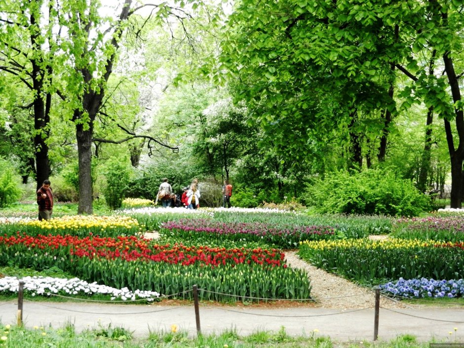 Ботанический сад Аптекарский огород