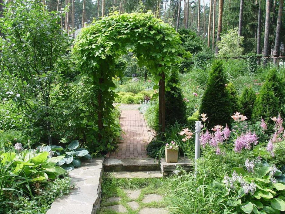 Зелёный сад Эльвиры Грибовой ландшафт