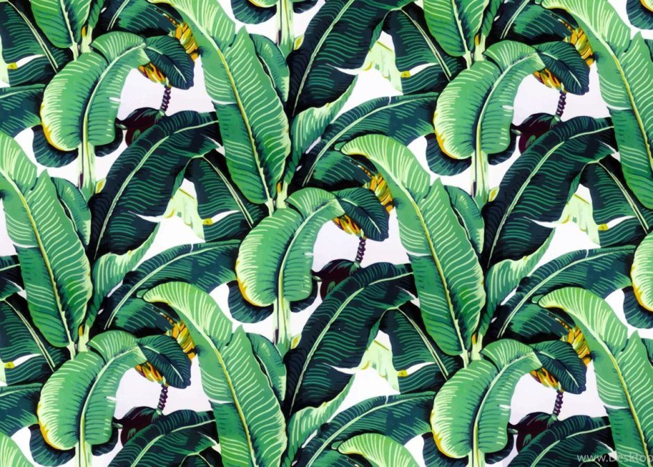 Банановые листья паттерн