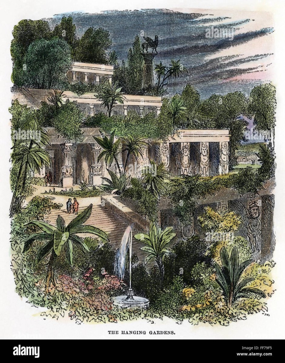 Висячие сады Семирамиды век