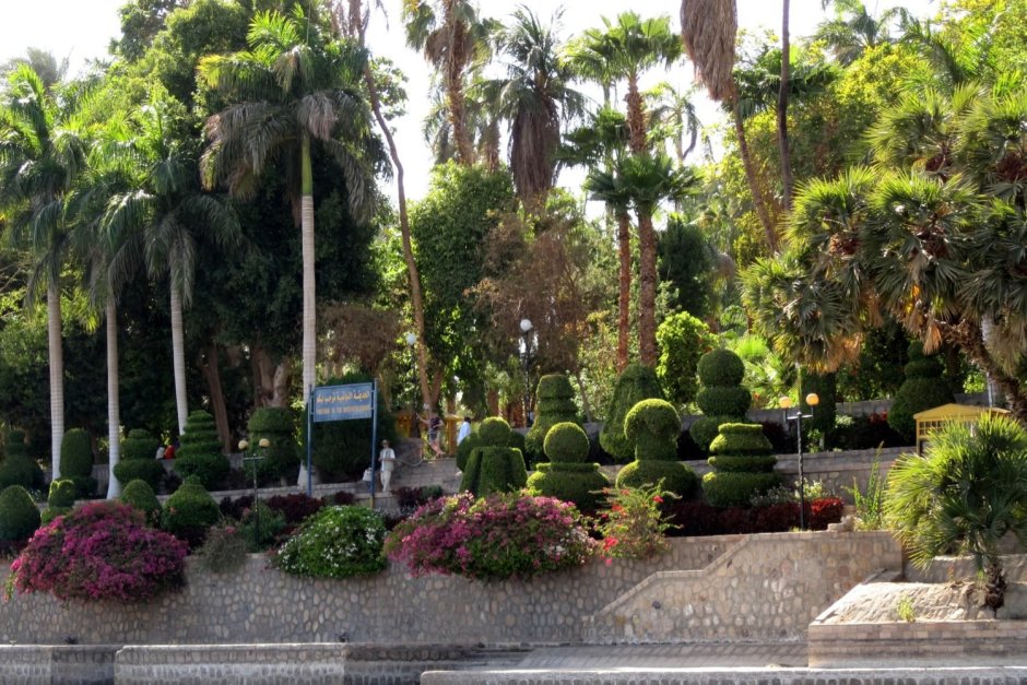 Асуан Ботанический сад на острове Китченера