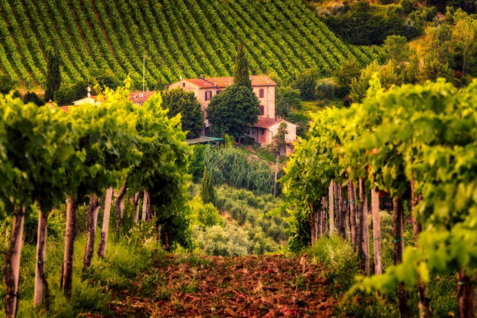 Винодельня в Тоскане замок