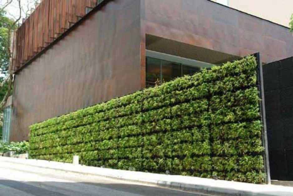 Зеленые стены живые изгороди
