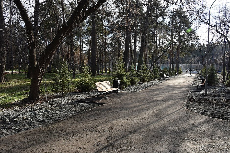 Парк зеленая роща Екатеринбург