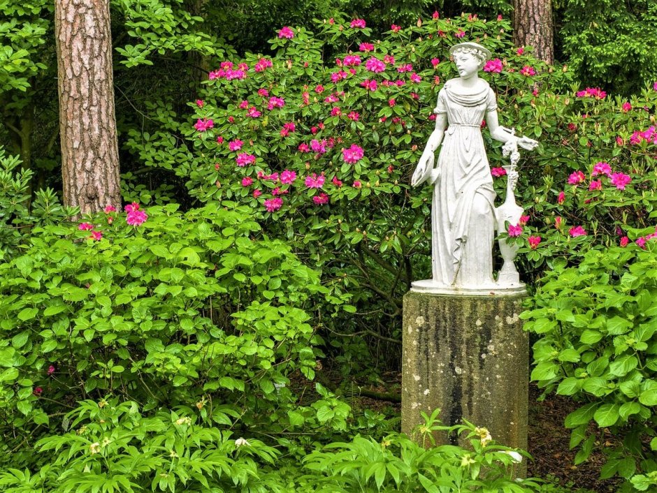 Статуя Авроры в летнем саду